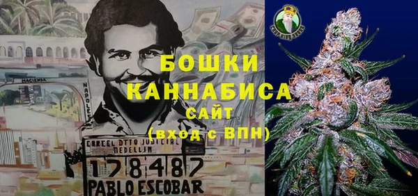 apvp Алзамай